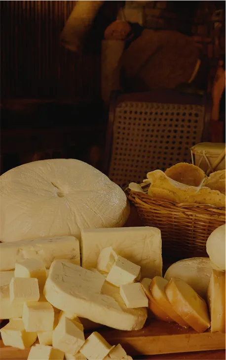 Festival del Queso 2018